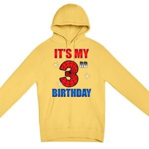 Spider Web Three 3 Years Old ItS My 3rd Birthday Boy Party Premium Pullover Hoodie