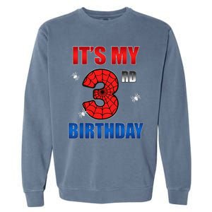 Spider Web Three 3 Years Old ItS My 3rd Birthday Boy Party Garment-Dyed Sweatshirt