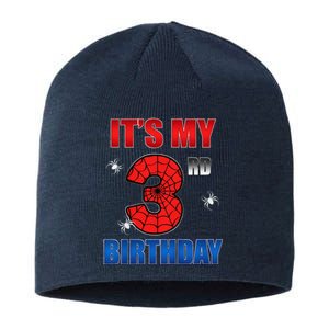 Spider Web Three 3 Years Old ItS My 3rd Birthday Boy Party Sustainable Beanie