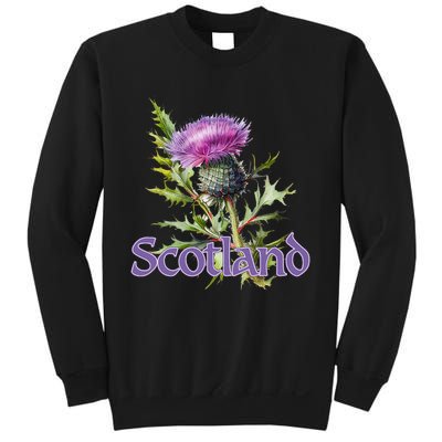 Scotland Watercolor Thistle Sweatshirt