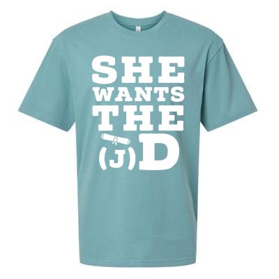 She Wants The D Doctor Of Jurisprudence Degree Graduate Gift Sueded Cloud Jersey T-Shirt