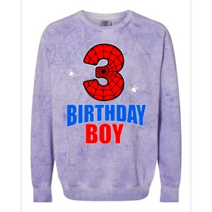 Spider Web Three 3 Years Old 3rd Birthday Boy Party Colorblast Crewneck Sweatshirt