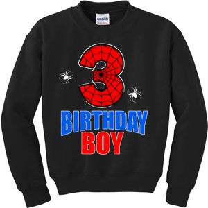 Spider Web Three 3 Years Old 3rd Birthday Boy Party Kids Sweatshirt