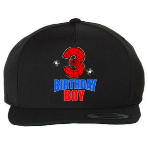 Spider Web Three 3 Years Old 3rd Birthday Boy Party Wool Snapback Cap