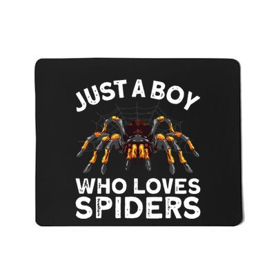 Spider Web Tarancute Spider For Boyspider Web Tarancute Spider Mousepad