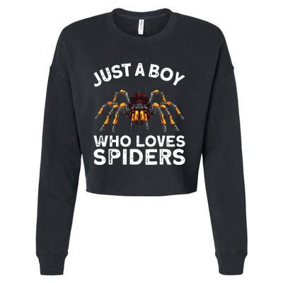 Spider Web Tarancute Spider For Boyspider Web Tarancute Spider Cropped Pullover Crew