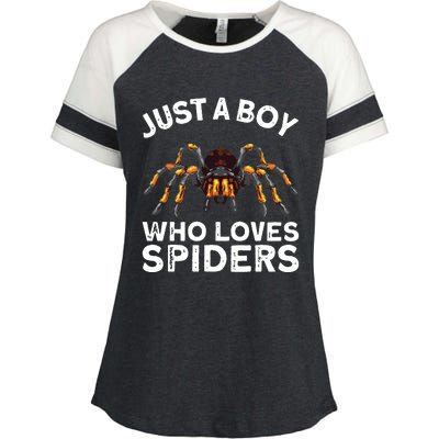 Spider Web Tarancute Spider For Boyspider Web Tarancute Spider Enza Ladies Jersey Colorblock Tee