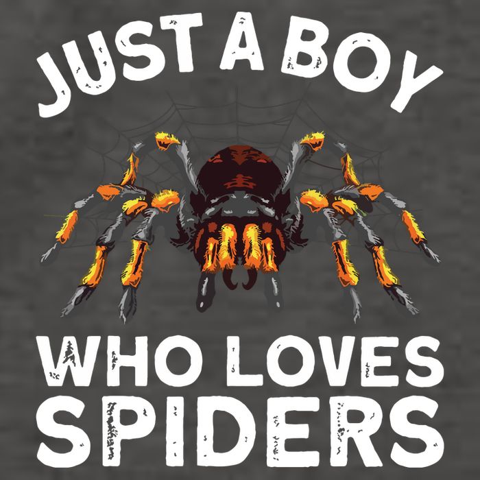 Spider Web Tarancute Spider For Boyspider Web Tarancute Spider Vector Backpack