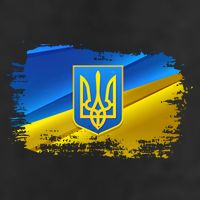 Stand With Ukraine Distressed Coat Of Arms Crest Flag Cool Comfort Performance Bucket Hat