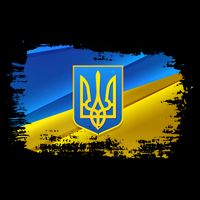 Stand With Ukraine Distressed Coat Of Arms Crest Flag 16 in Basic Backpack
