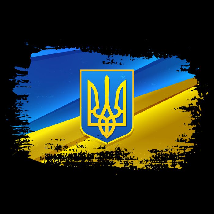 Stand With Ukraine Distressed Coat Of Arms Crest Flag 16 in Basic Backpack