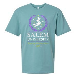 Salem Witch University Training Halloween Women Sueded Cloud Jersey T-Shirt