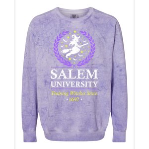 Salem Witch University Training Halloween Funny Gift Colorblast Crewneck Sweatshirt