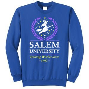 Salem Witch University Training Halloween Funny Gift Sweatshirt