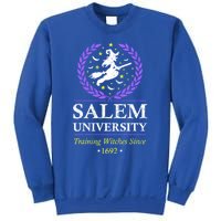 Salem Witch University Training Halloween Funny Gift Sweatshirt