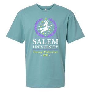 Salem Witch University Training Halloween Funny Gift Sueded Cloud Jersey T-Shirt