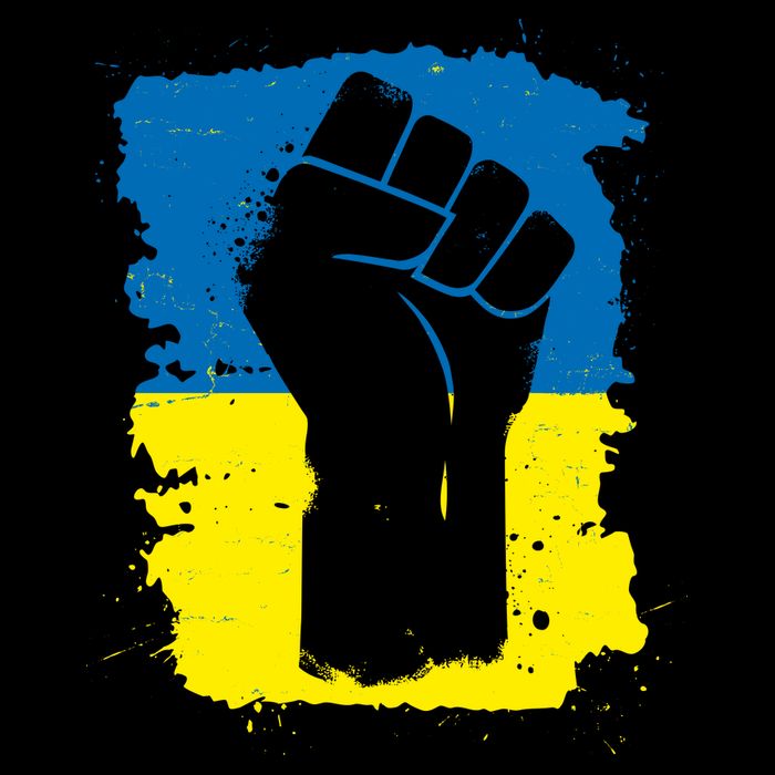 Stand With Ukraine Distressed Protest Fist Ukrainian Flag Ladies Long Sleeve Shirt