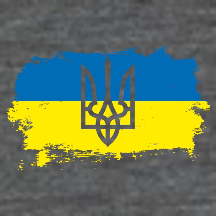 Stand With Ukraine Painted Distressed Ukrainian Flag Symbol Hoodie