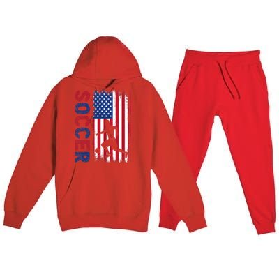 Soccer With Usa Flag For Soccer Lover Premium Hooded Sweatsuit Set