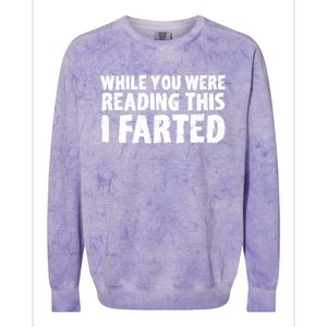 S While You Were Reading This I Farted Funny Dad Joke Gift Colorblast Crewneck Sweatshirt