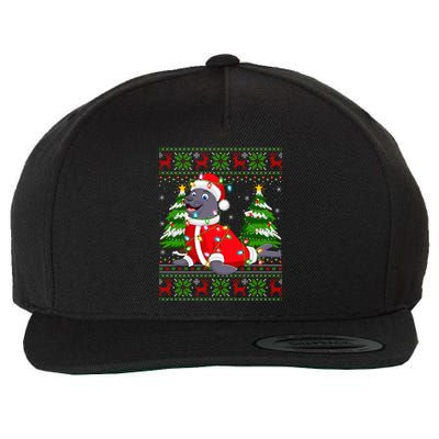 Seal Xmas Lighting Ugly Santa Seal Christmas Meaningful Gift Wool Snapback Cap