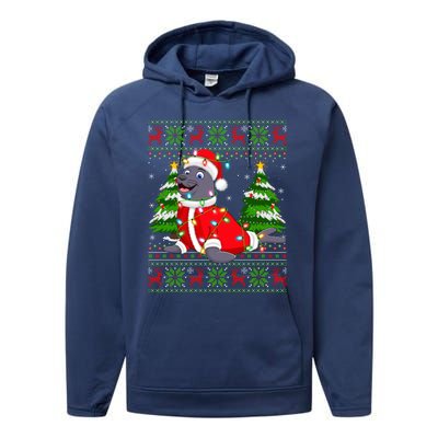 Seal Xmas Lighting Ugly Santa Seal Christmas Meaningful Gift Performance Fleece Hoodie