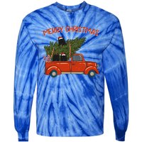 Schipperke Xmas Vintage Red Pickup Retro Truck Cute Gift Tie-Dye Long Sleeve Shirt