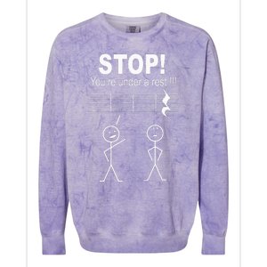 Stop You Are Under A Rest Funny Musician Gifts Colorblast Crewneck Sweatshirt