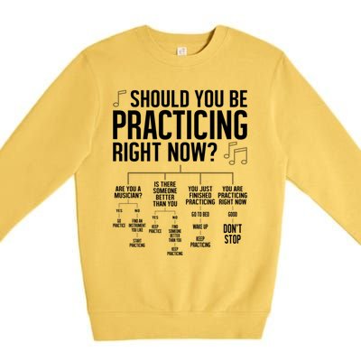 Schould You Be Practicing For Marching Band Or Orchestra Cute Gift Premium Crewneck Sweatshirt