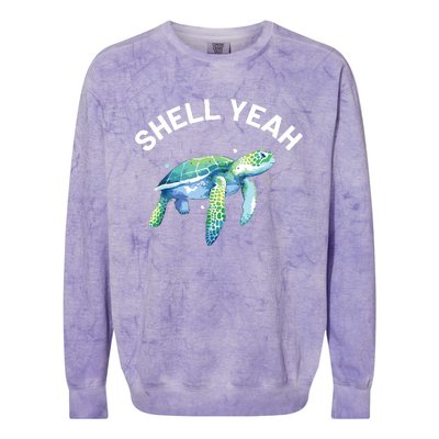 Shell Yeah Cute Tortoise Sea Turtle Lover Colorblast Crewneck Sweatshirt