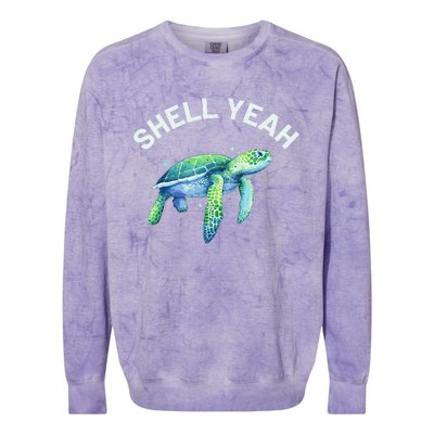 Shell Yeah Cute Tortoise & Sea Turtle Lover Colorblast Crewneck Sweatshirt