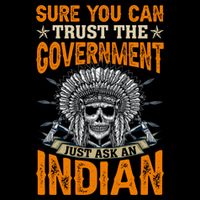 Sure You Can Trust The Government Just Ask An Indian Visor