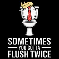 Sometimes You Gotta Flush Twice 7-Panel Snapback Hat