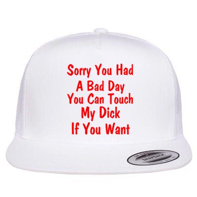 Sorry You Had A Bad Day You Can Touch My Dick If You Want Flat Bill Trucker Hat