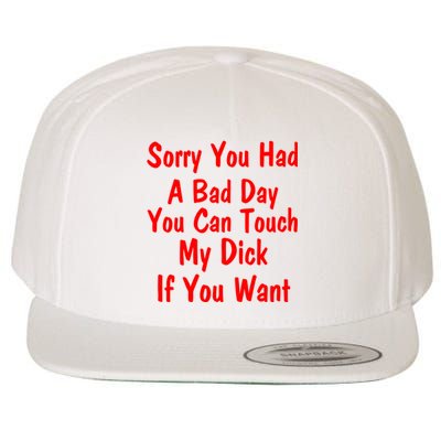 Sorry You Had A Bad Day You Can Touch My Dick If You Want Wool Snapback Cap