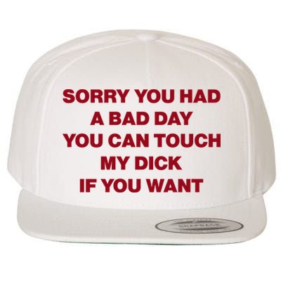 Sorry You Had A Bad Day You Can Touch My Dick Wool Snapback Cap