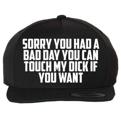 Sorry You Had A Bad Day You Can Touch My Dick If You Want Wool Snapback Cap
