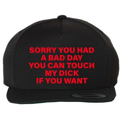 Sorry You Had A Bad Day You Can Touch My Dick If You Want Wool Snapback Cap