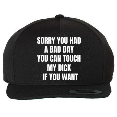 Sorry You Had A Bad Day You Can Touch My Dick If You Want Wool Snapback Cap