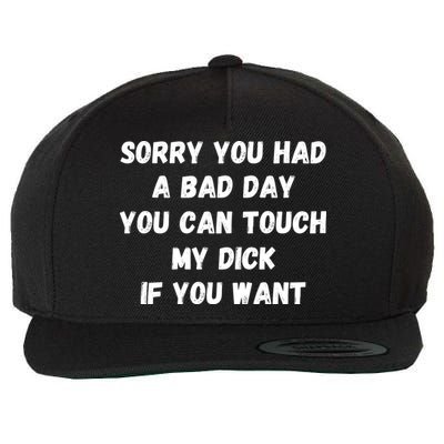 Sorry You Had A Bad Day You Can Touch My Dick If You Want Wool Snapback Cap