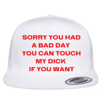 Sorry You Had A Bad Day You Can Touch My Dick If You Want Flat Bill Trucker Hat