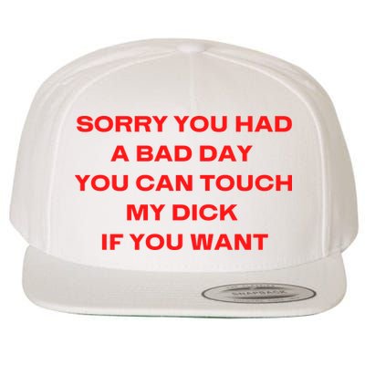 Sorry You Had A Bad Day You Can Touch My Dick If You Want Wool Snapback Cap