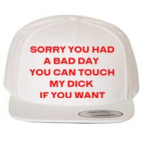 Sorry You Had A Bad Day You Can Touch My Dick If You Want Wool Snapback Cap