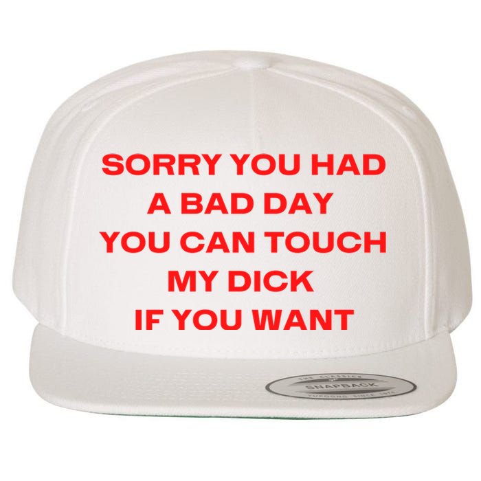 Sorry You Had A Bad Day You Can Touch My Dick If You Want Wool Snapback Cap