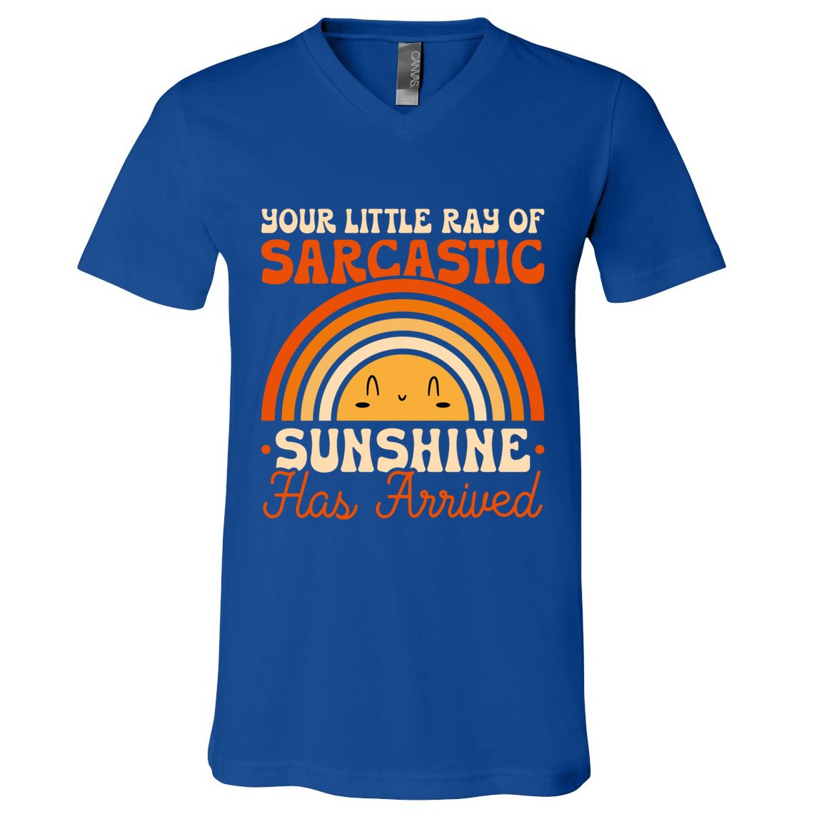 Sarcastic Your Little Ray Of Sarcastic Sunshine Has Arrived Gift V-Neck T-Shirt