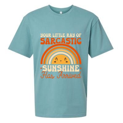 Sarcastic Your Little Ray Of Sarcastic Sunshine Has Arrived Gift Sueded Cloud Jersey T-Shirt