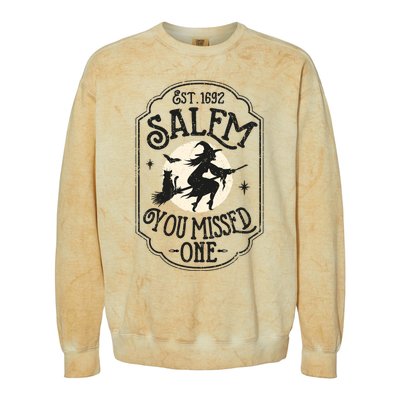 Salem You Missed One Funny Halloween Feminist Witch Trials Colorblast Crewneck Sweatshirt