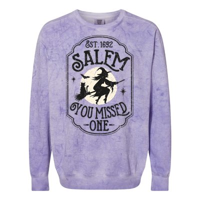 Salem You Missed One Funny Halloween Feminist Witch Trials Gift Colorblast Crewneck Sweatshirt