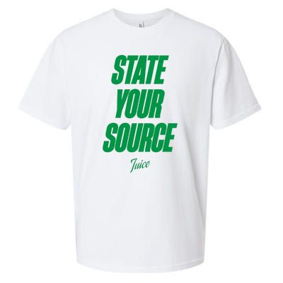 State Your Source Sueded Cloud Jersey T-Shirt