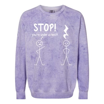 Stop You're Under A Rest Funny Music Musician Stick Cool Gift Colorblast Crewneck Sweatshirt